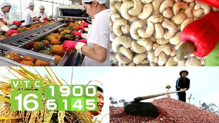 Thương mại hóa nội dung: Chìa khóa vàng trong kỷ nguyên video ngắn