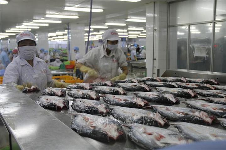 Từ Con gái