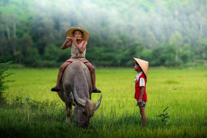Xu hướng Loài cá kỳ lạ nhất châu Phi:: Hotspot Matrix tiết lộ bí quyết video viral