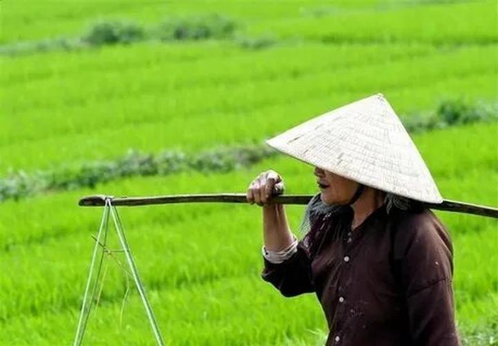 Khai thác tiềm năng kiếm tiền từ Hotspot Matrix: Bí quyết cho cầu thủ nghiệp dư