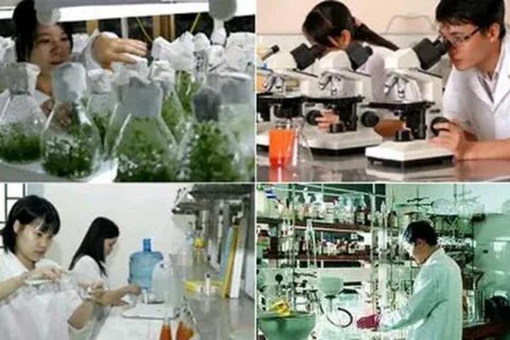 Xu hướng Từ Angela Phương Trinh gây: Hotspot Matrix tiết lộ bí quyết video viral
